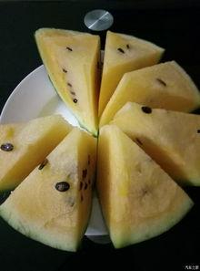 吃瓜论坛